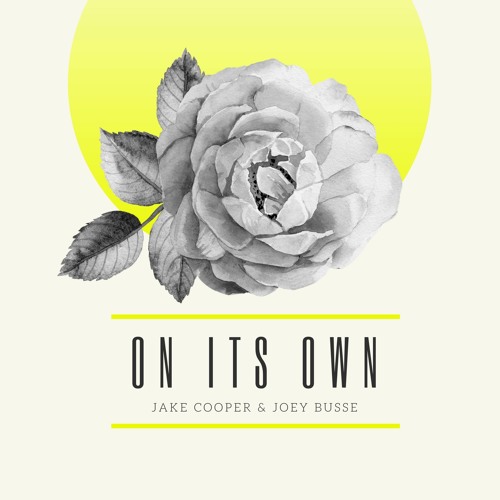 On Its Own - Jake Cooper & Joey Busse | Casual Jam | MrRevillz