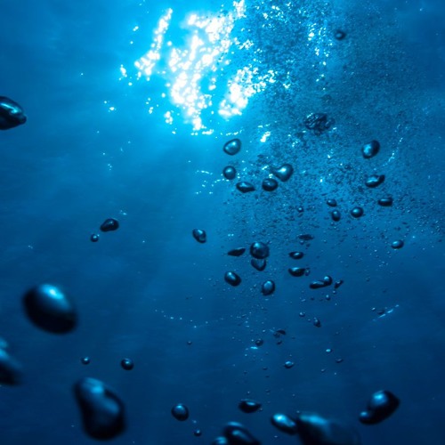 DVS NME - The Midnight Zone