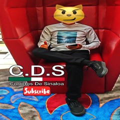 Maestro Antrax - Grupo Tipo 3