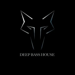 Deep Bass House Demo (Live Dj Mix)
