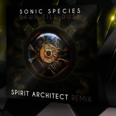 Sonic Species - Dawn Till Dusk (Spirit Architect) rmx . <<Preview >>