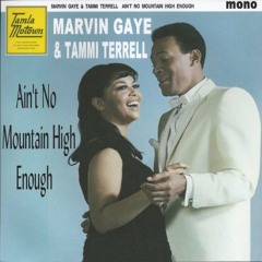 Marvin Gaye & Tammi Terrell - ain't no moutain high enough (mikeandtess edit 4 mix)