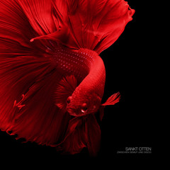 Sankt Otten - Ein bisschen Mitschuld bringt dich nicht gleich um