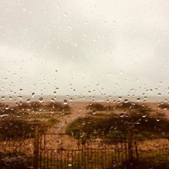It's Raining Today