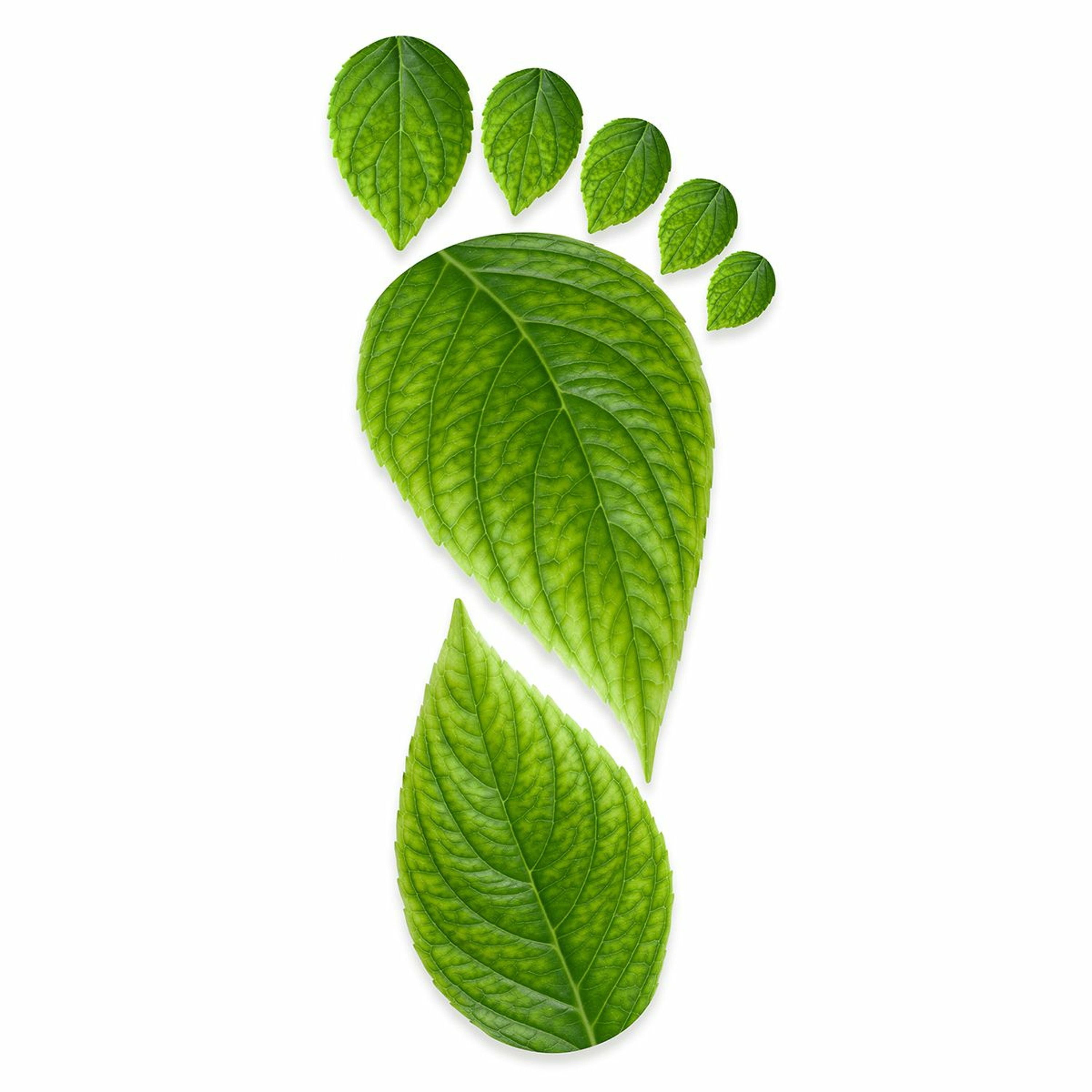 Renewable future