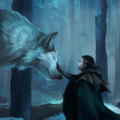 Peter Crowley - The Forest Of Wolves (Epic Adventure Fantasy Celtic)