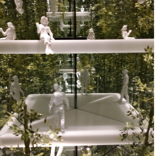 Robots Walking Through The Jungle