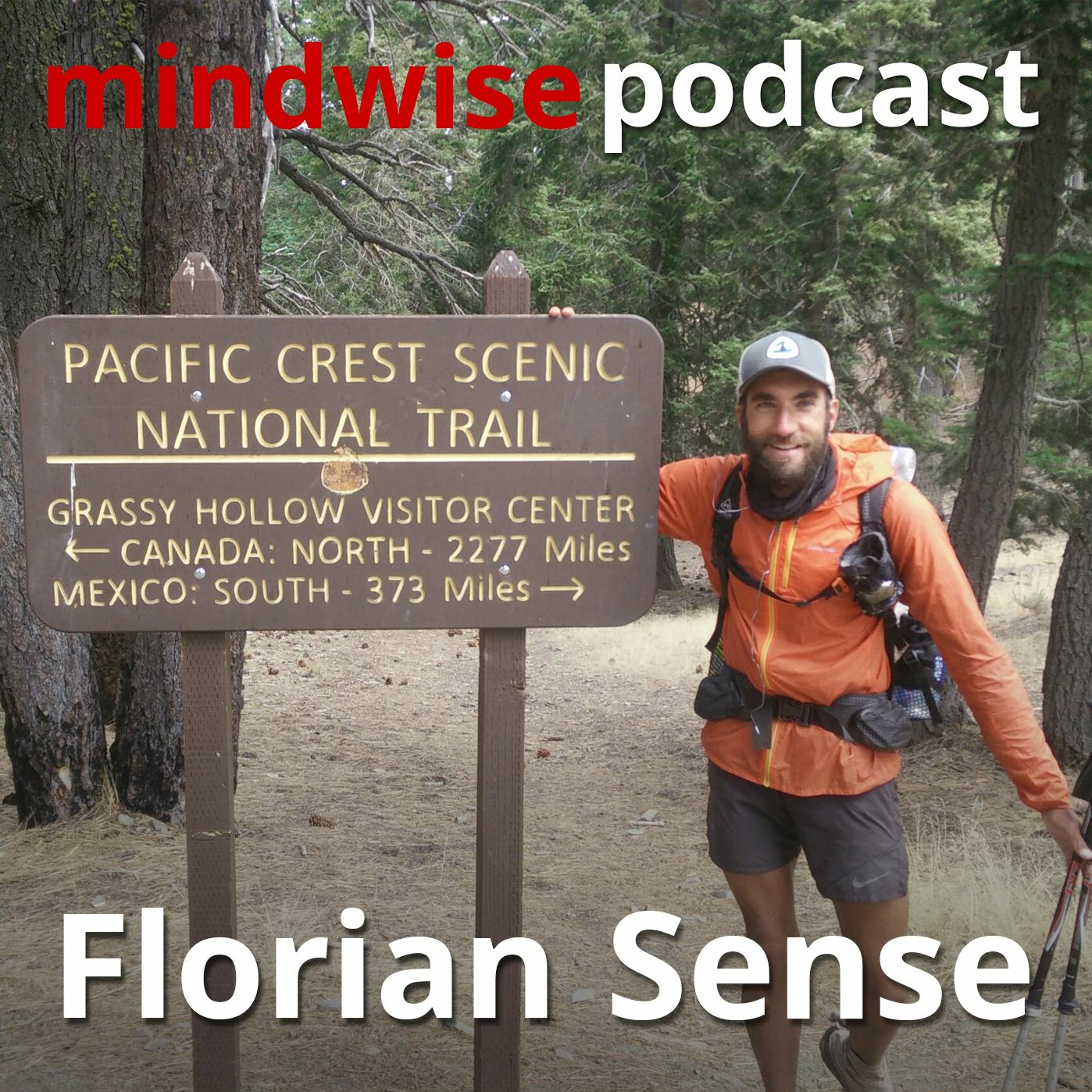 Mindwise Podcast