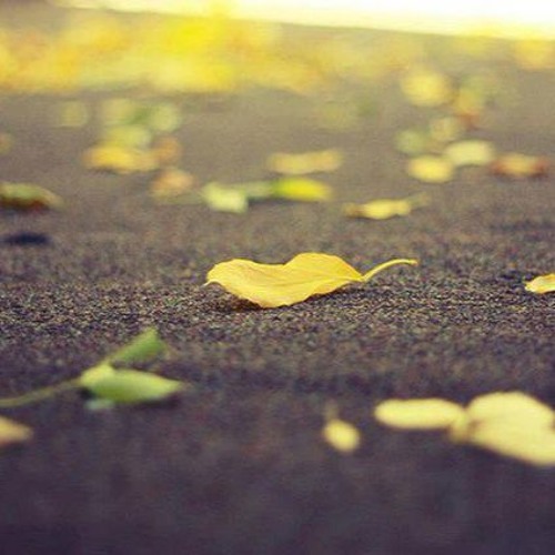 Đừng Xin Lỗi Nữa (cover by Phanhhh_)