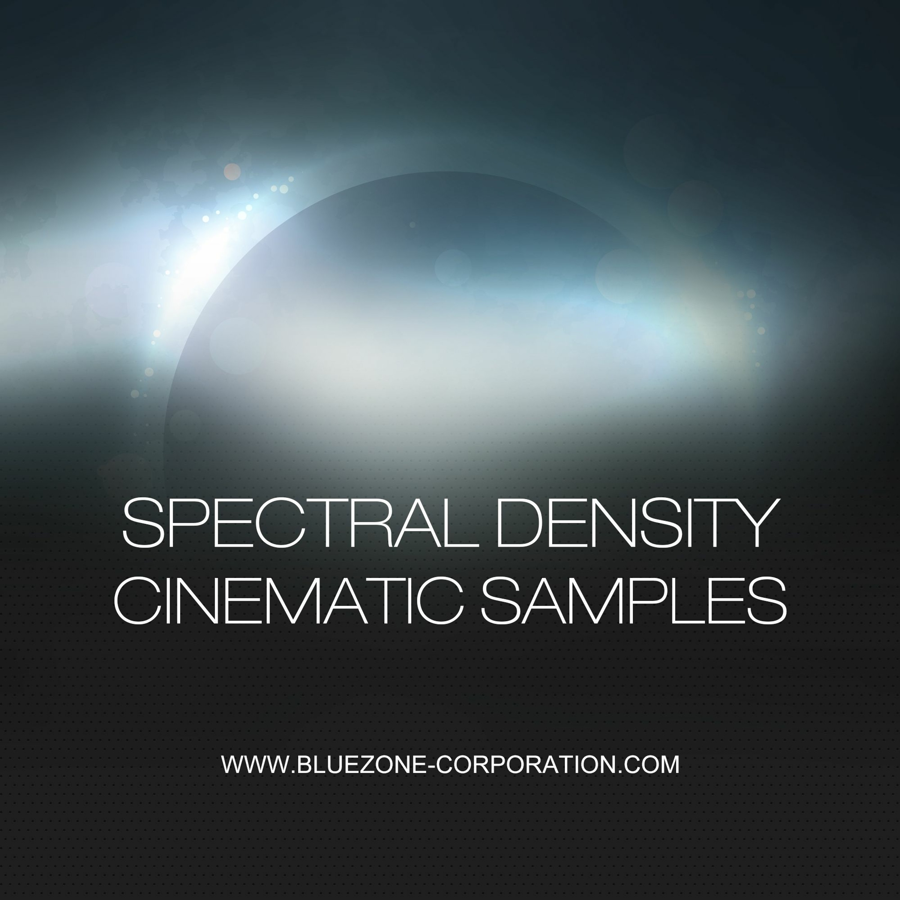 Bluezone Corporation