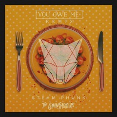 The Chainsmokers - You Owe Me (Steam Phunk Bootleg)