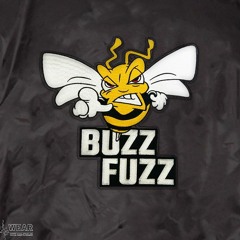 Dj Buzz Fuzz - Frequencies