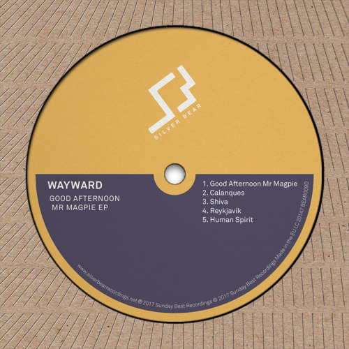 Premiere: Wayward 'Good Afternoon Mr Magpie'