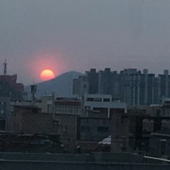 임우진 - 바람