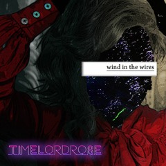 wind in the wires (patrick wolf cover)