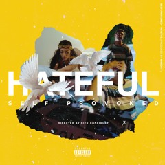 Self provoked - Hateful