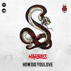 HOW DID YOU LOVE [OUT SOON ON 5 DAN RECORDS]