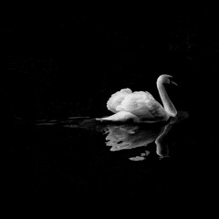 Black Lake