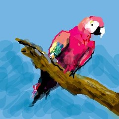 야생의 ㅋ무새가 나타났다!!!