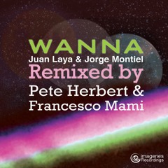 WANNA (Francesco Mami Remix) - Juan Laya & Jorge Montiel