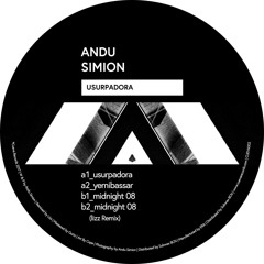 Premiere : Andu Simion - Midnight 08 (Lizz Remix) (CUEVA002)