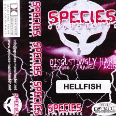 Hellfish--Species Manchester