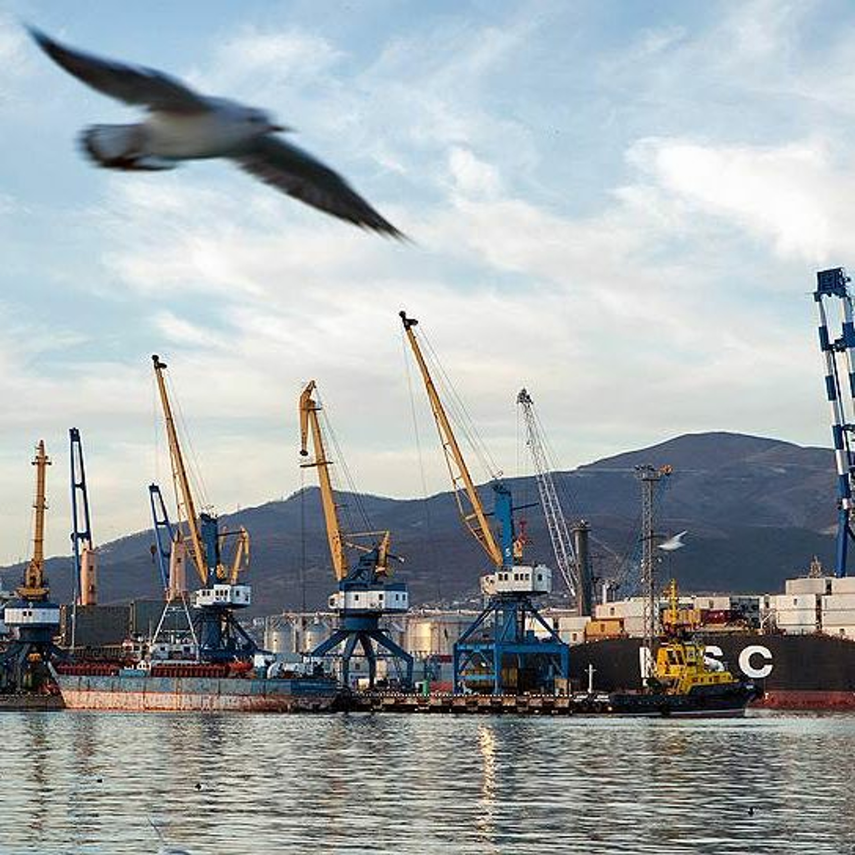 Бункер не спас от банкротства