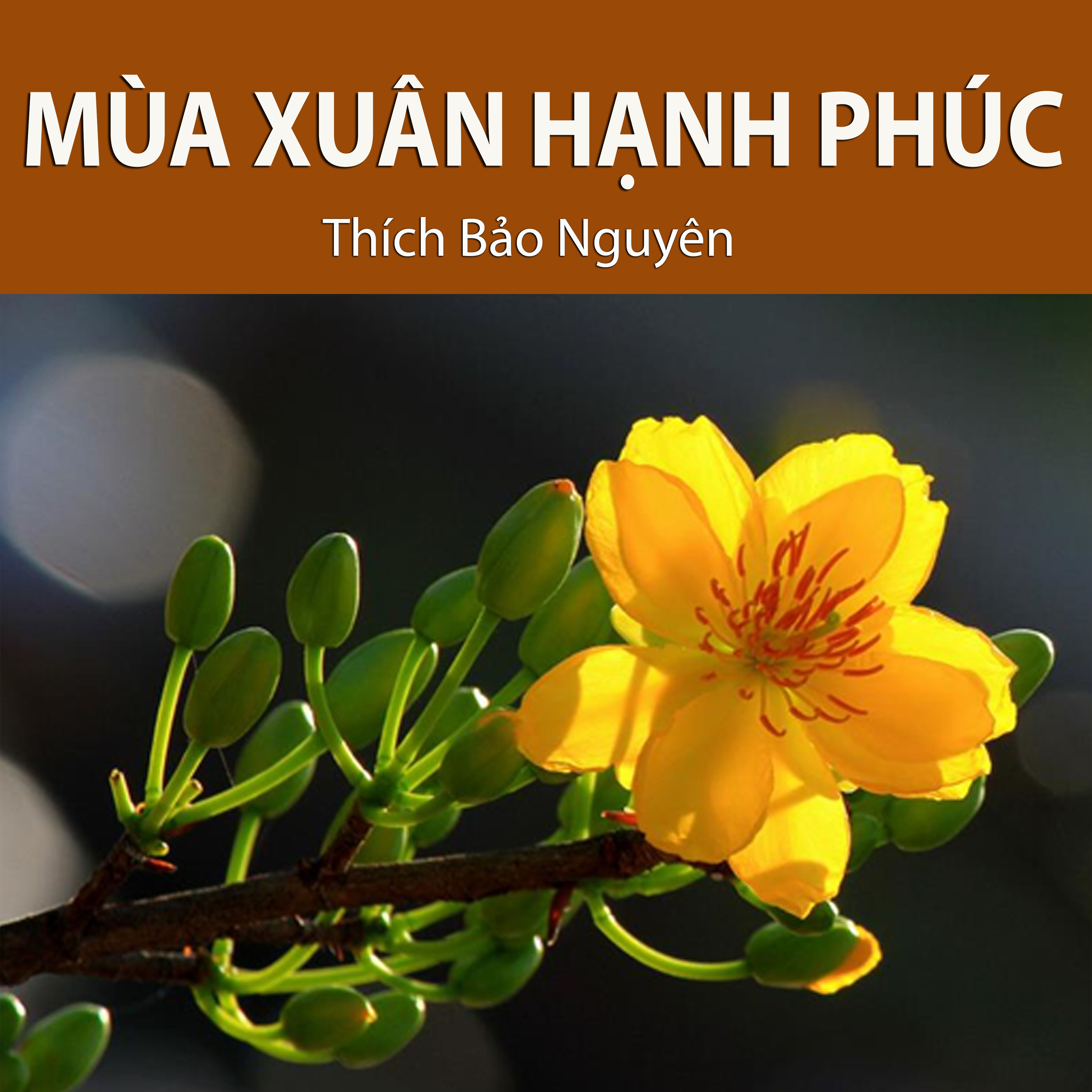 Thích Bảo Nguyên