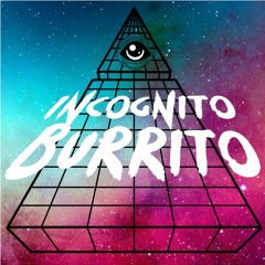 Titties on the Roof - Incognito Burrito 2/7/18 Funk n' Waffles