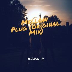 Mellow Plug (Original Mix)