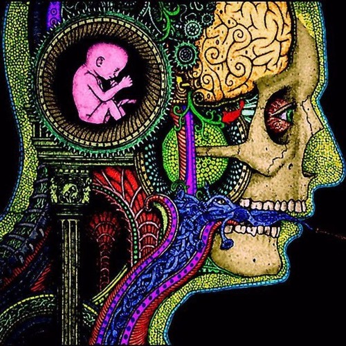 The Best Of The Best