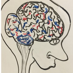 DeYoung Scientist - Translucent Minds