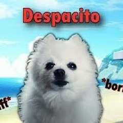 Despacito - Gabe the Dog