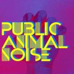 Fuck You Pay Me(Space Invasion Mix)- Public Animal Noise