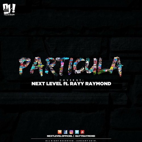 NEXT LEVEL Feat. RAY RAYMOND - Particula!