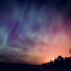 dreams