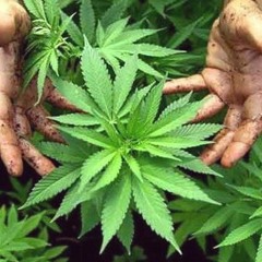 CHRONIXX  SPANISH TOWN MOOD LBC