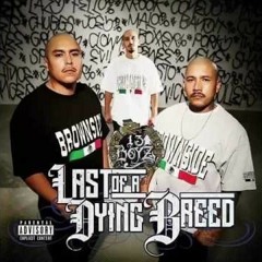 13Boyz - Hood Life (Last Of A Dying Breed) (2017).mp3