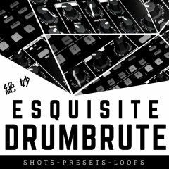 Esquisite DrumBrute Mix Loops 139Bpm