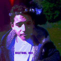 Digitool 003