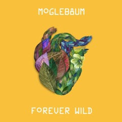 Forever Wild 🔥