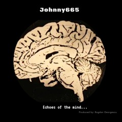 Johnny665:Echoes in the Hallway