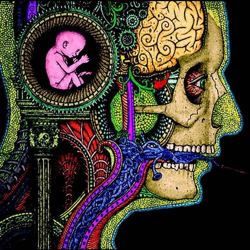Entheogenic - Beyond Zero