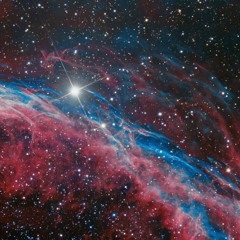 cosmo