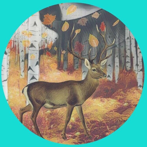 Sebastian Eric  - Veselie Pe Campie [Free Download]