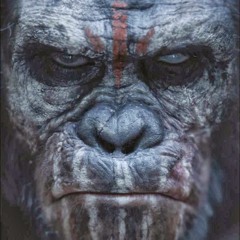 Qb Gorilla With Intro