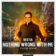 Bestia - Nothing Wrong With Me (Calybr Remix)