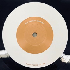 Pascal Viscardi - Skylab (COB#10)