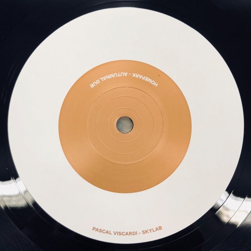 Pascal Viscardi - Skylab (COB#10)