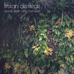 Sunfall (feat. Carly Barnette) (Asta Hiroki Remix)